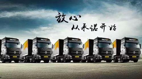 东丰物流爆料最新消息新闻,揭秘行业动态与重大新闻  第1张